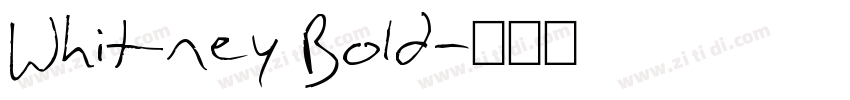 Whitney Bold字体转换